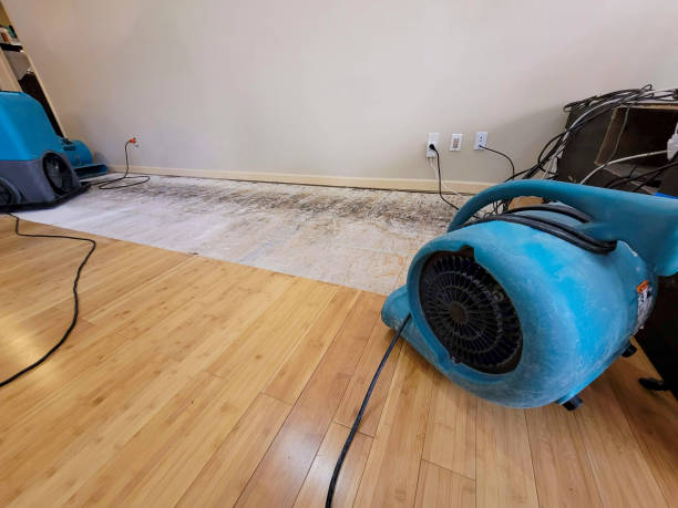 Professional Water Damage Repair technician working in Plainwell, MI